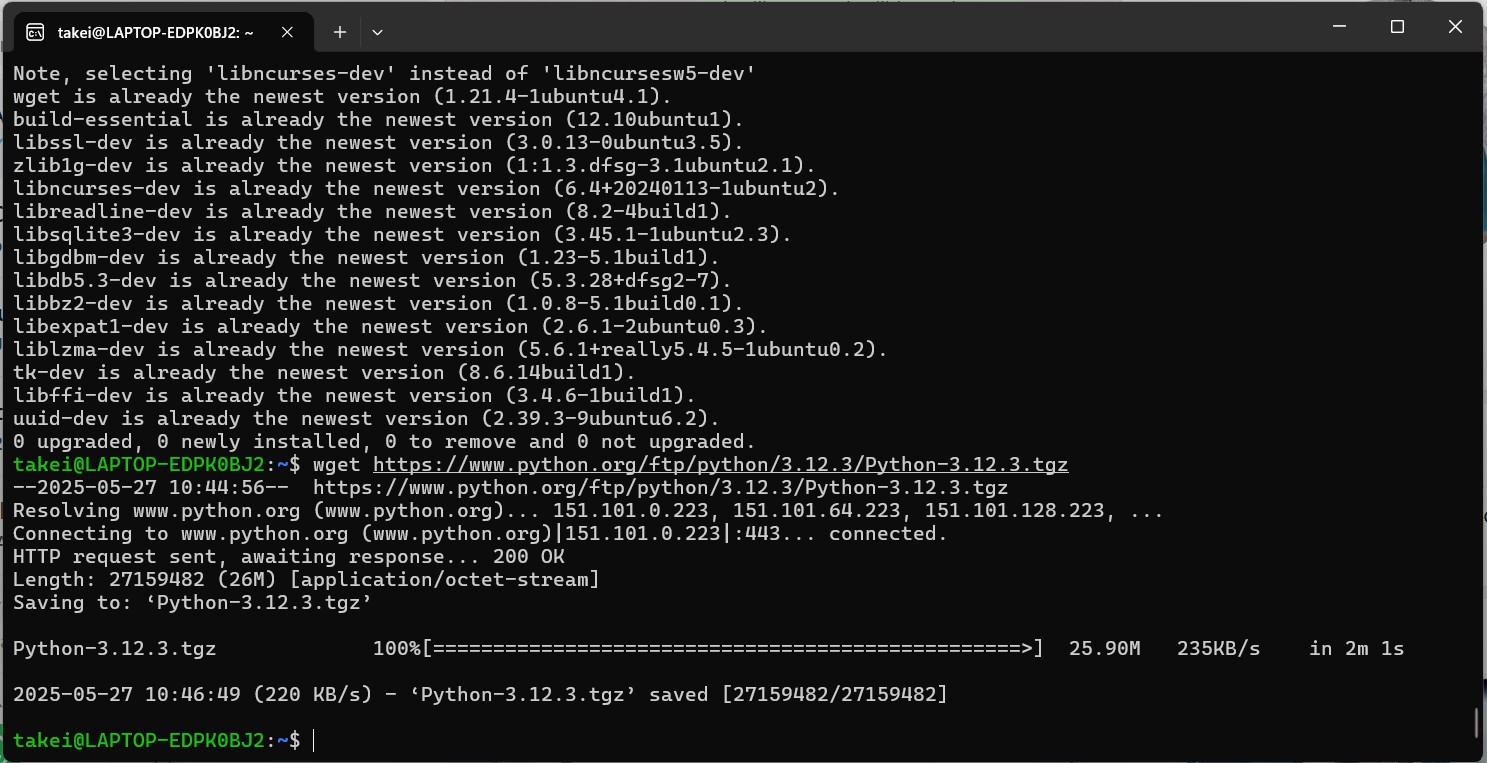 python-3133
